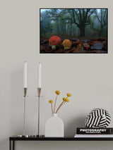 Fly agarics Poster och Canvastavla