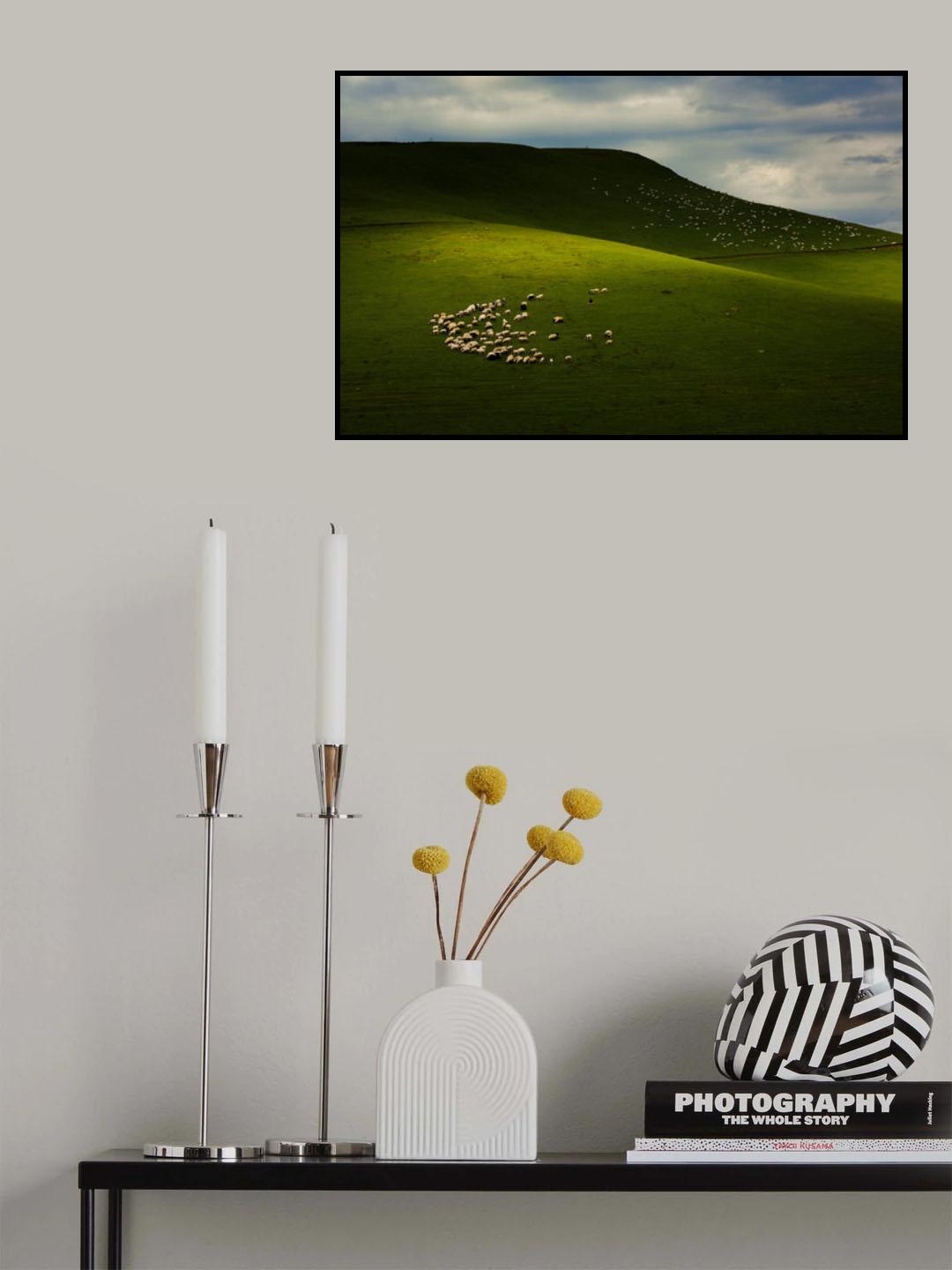 Sheepherds of The Plateau Poster och Canvastavla
