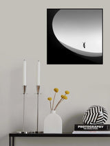 flying into the light Poster och Canvastavla