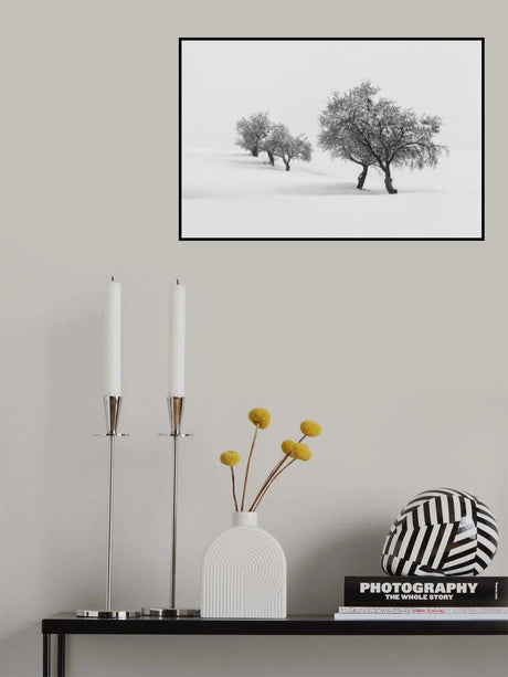 White carpet II Poster och Canvastavla