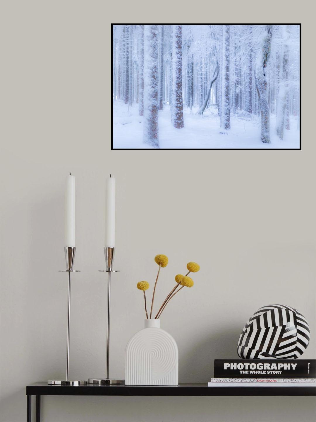 Winter forest Poster och Canvastavla