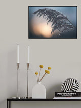 Easy Poster och Canvastavla