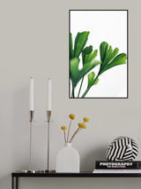 Ginko 4 Poster och Canvastavla