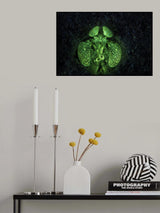 Fluorescent Mantis shrimp Poster och Canvastavla