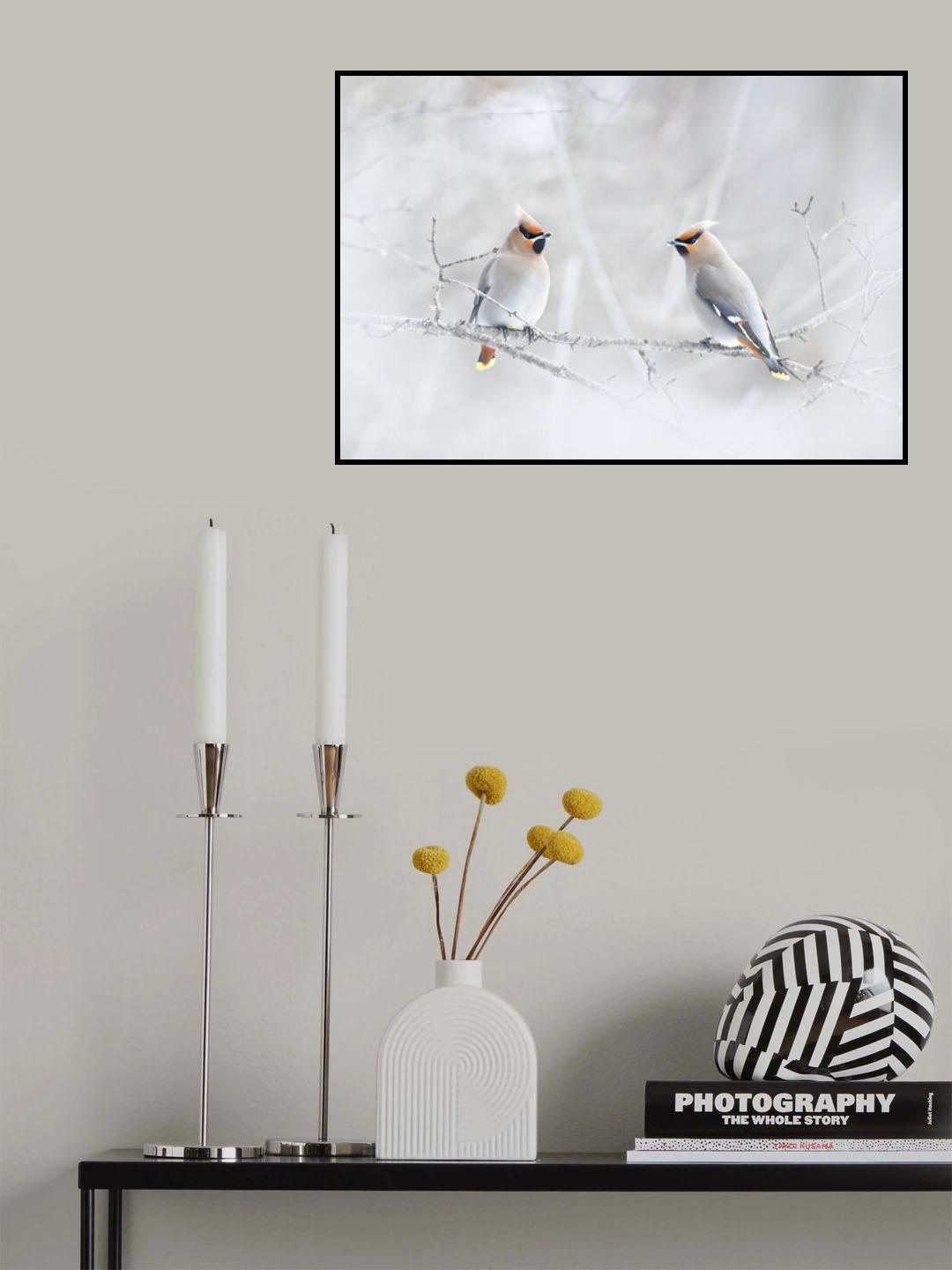 Bohemian Waxwings Poster och Canvastavla