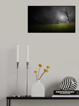 Conversation lumineuse avec un oiseau Poster och Canvastavla