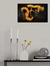 Razan Poster och Canvastavla
