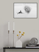 Marlin after Baitball Poster och Canvastavla