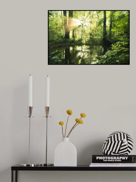Green Park Poster och Canvastavla