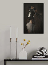 lady knight Poster och Canvastavla
