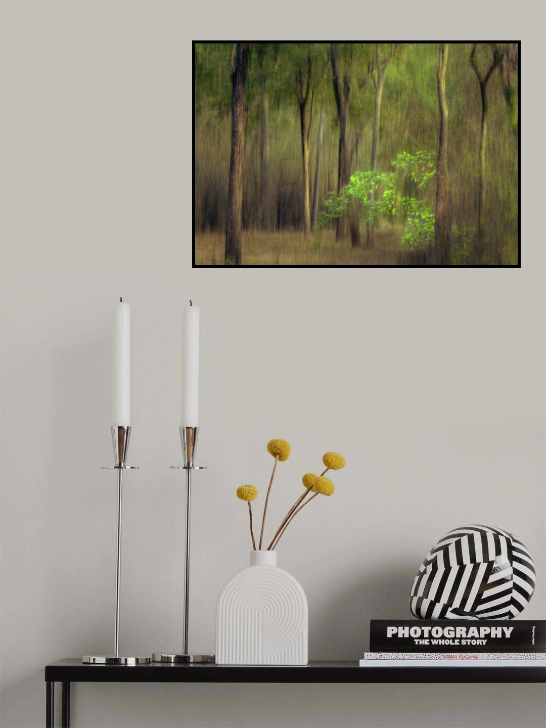 Forest Poster och Canvastavla
