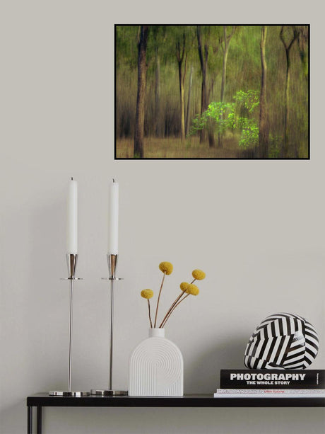 Forest Poster och Canvastavla