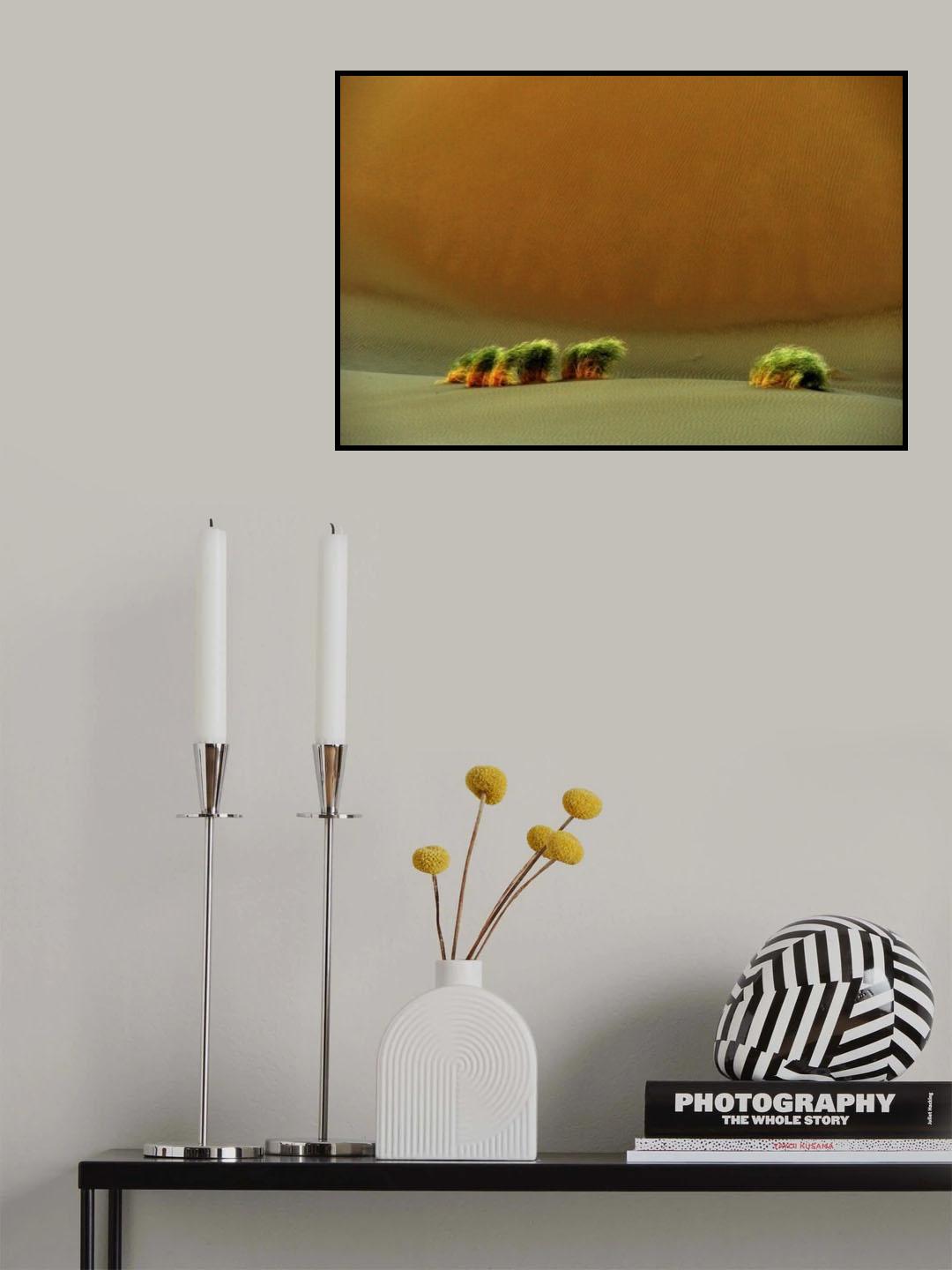Poster och Canvastavla