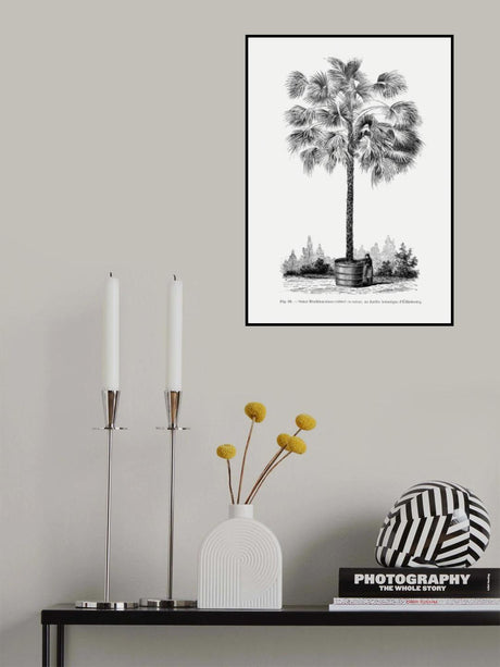 Vintage Palm Tree Drawing X Poster och Canvastavla