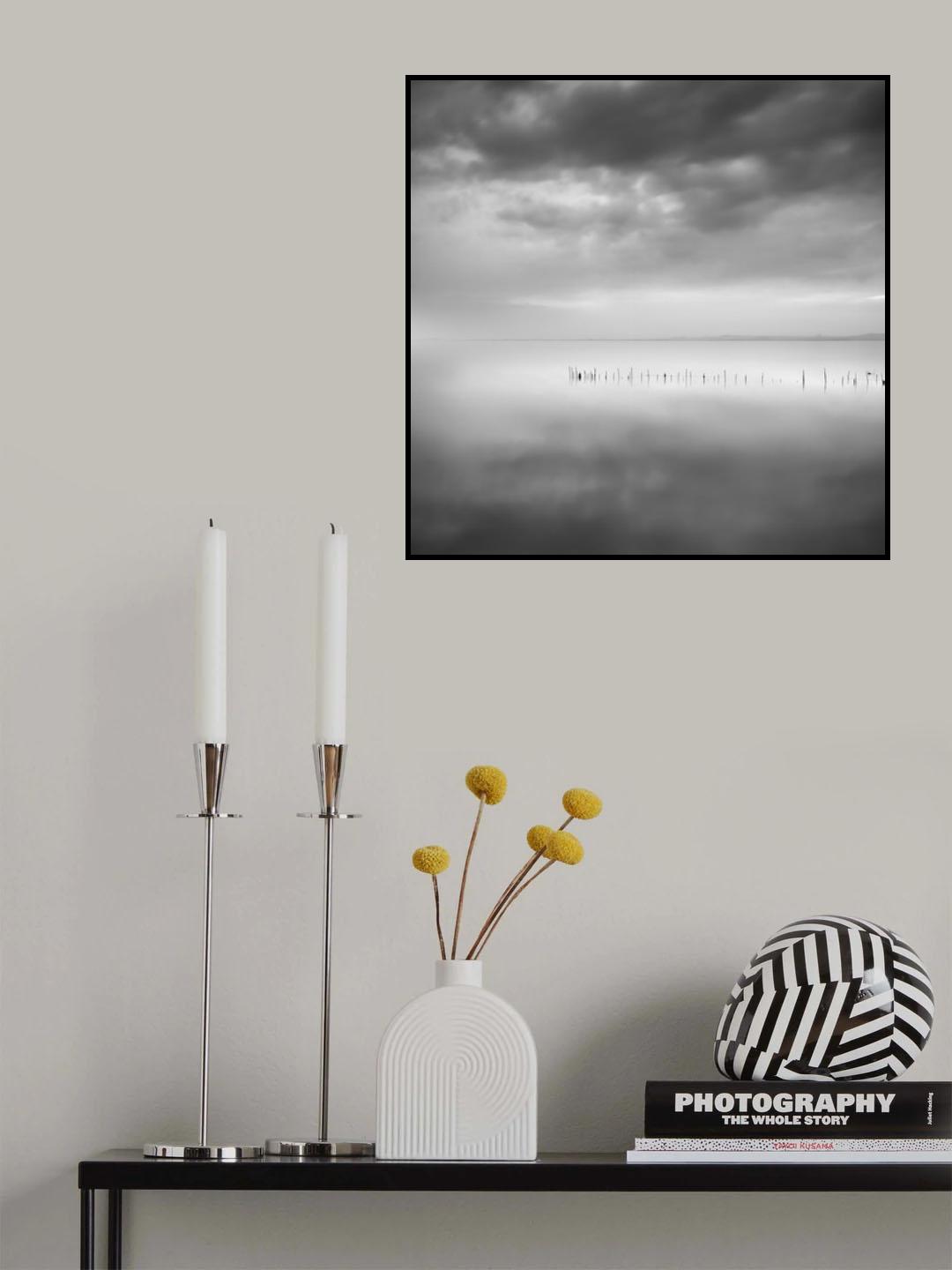 Sixty shades of gray Poster och Canvastavla