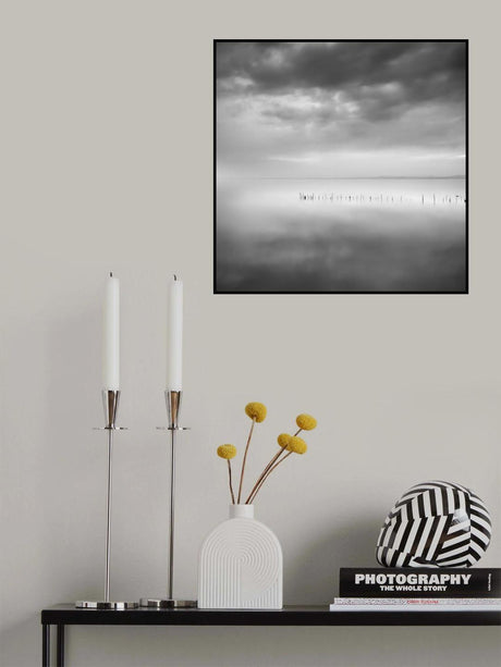 Sixty shades of gray Poster och Canvastavla