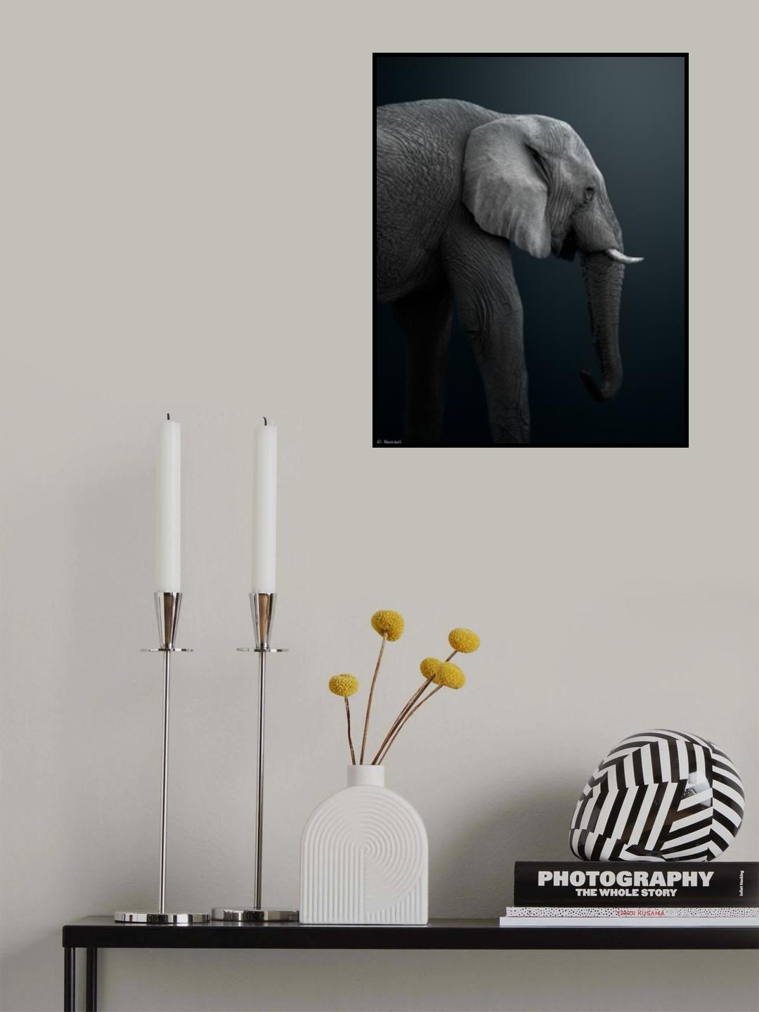 Namibian Elephant Poster och Canvastavla