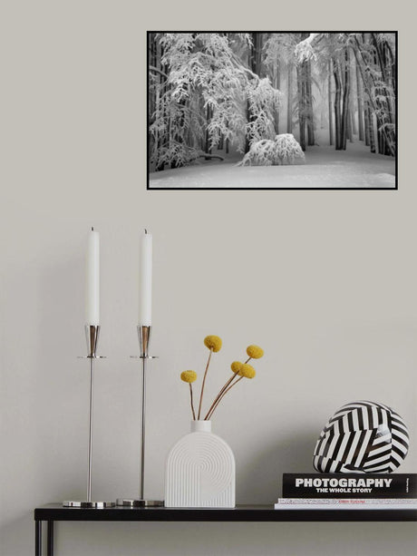 Perfect Winter Poster och Canvastavla