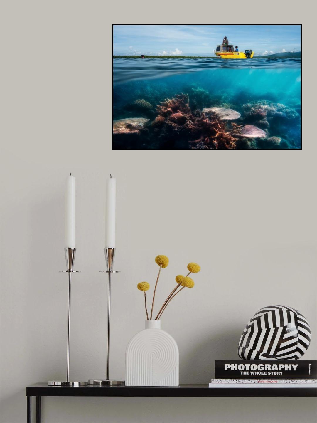 second dive Poster och Canvastavla