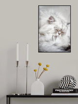 The Cat in the Window Poster och Canvastavla