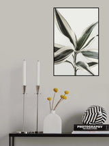 Foliage Poster och Canvastavla
