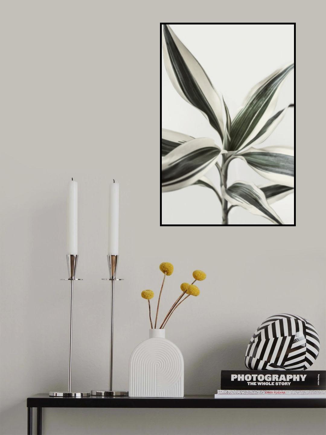 Foliage Poster och Canvastavla
