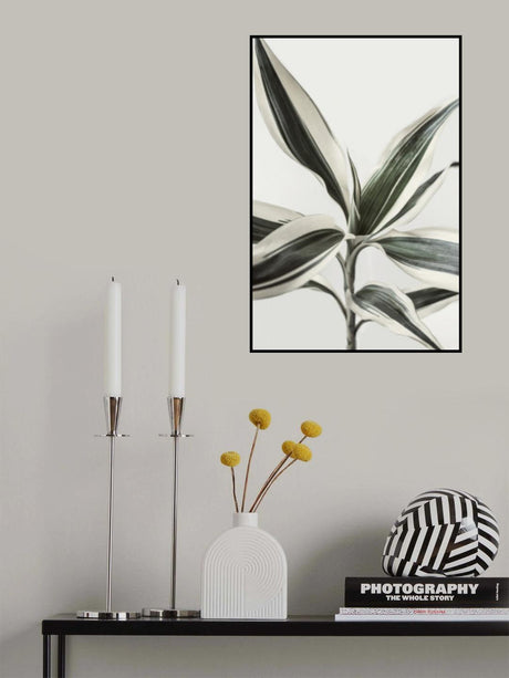 Foliage Poster och Canvastavla