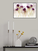 Tulips (III) Poster och Canvastavla