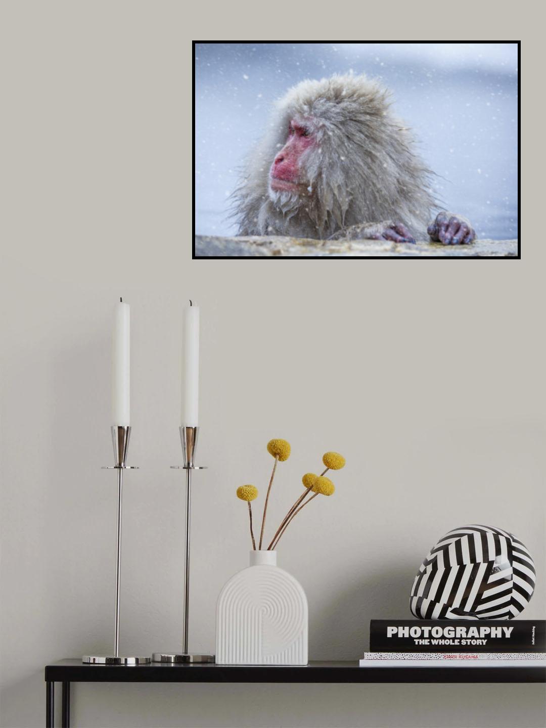 A Regular Day Poster och Canvastavla