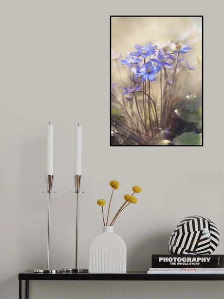 Spring... Poster och Canvastavla