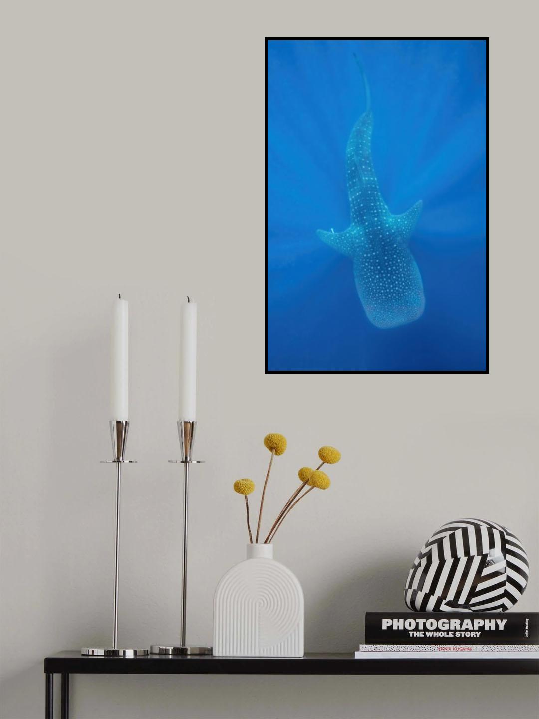 Blue spotted Poster och Canvastavla