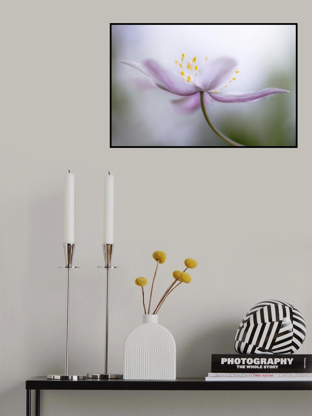 Nemorosa*** Poster och Canvastavla
