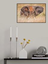 Pastel elephant Poster och Canvastavla