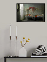 the flying spirit Poster och Canvastavla