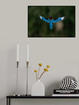 Wide Open Poster och Canvastavla