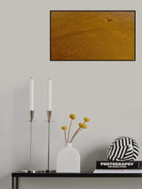 Grooves Poster och Canvastavla