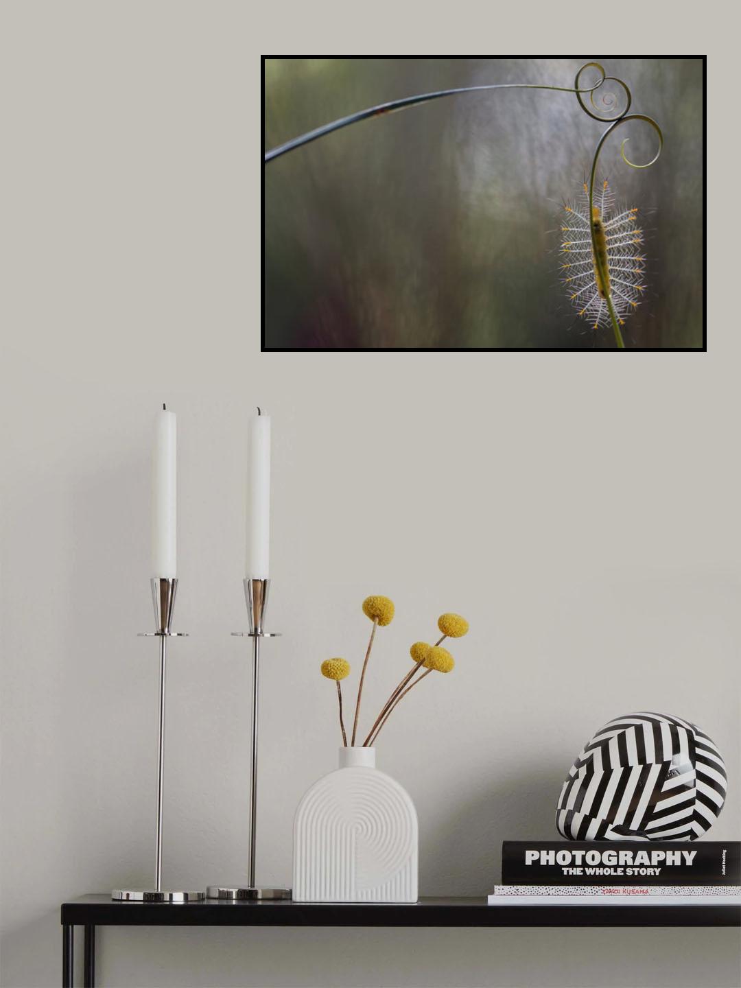 Baby Fire Caterpillar Poster och Canvastavla