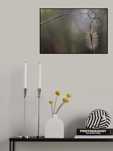 Baby Fire Caterpillar Poster och Canvastavla