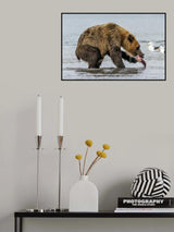 Poster och Canvastavla