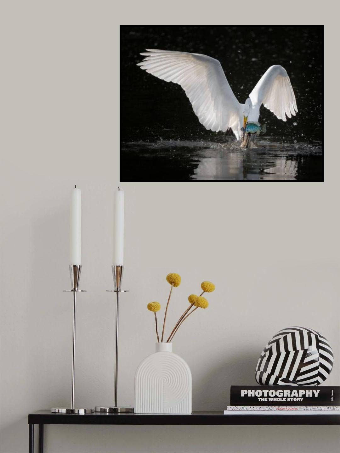 Good catch Poster och Canvastavla
