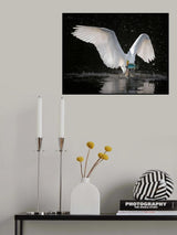 Good catch Poster och Canvastavla