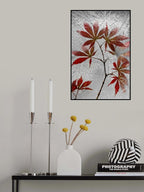 red maple Poster och Canvastavla