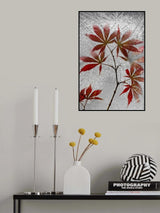 red maple Poster och Canvastavla