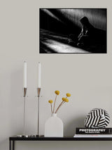 n/t Poster och Canvastavla