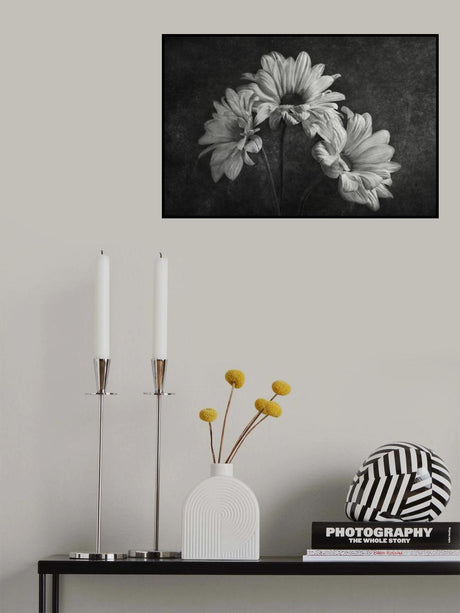 Poster och Canvastavla
