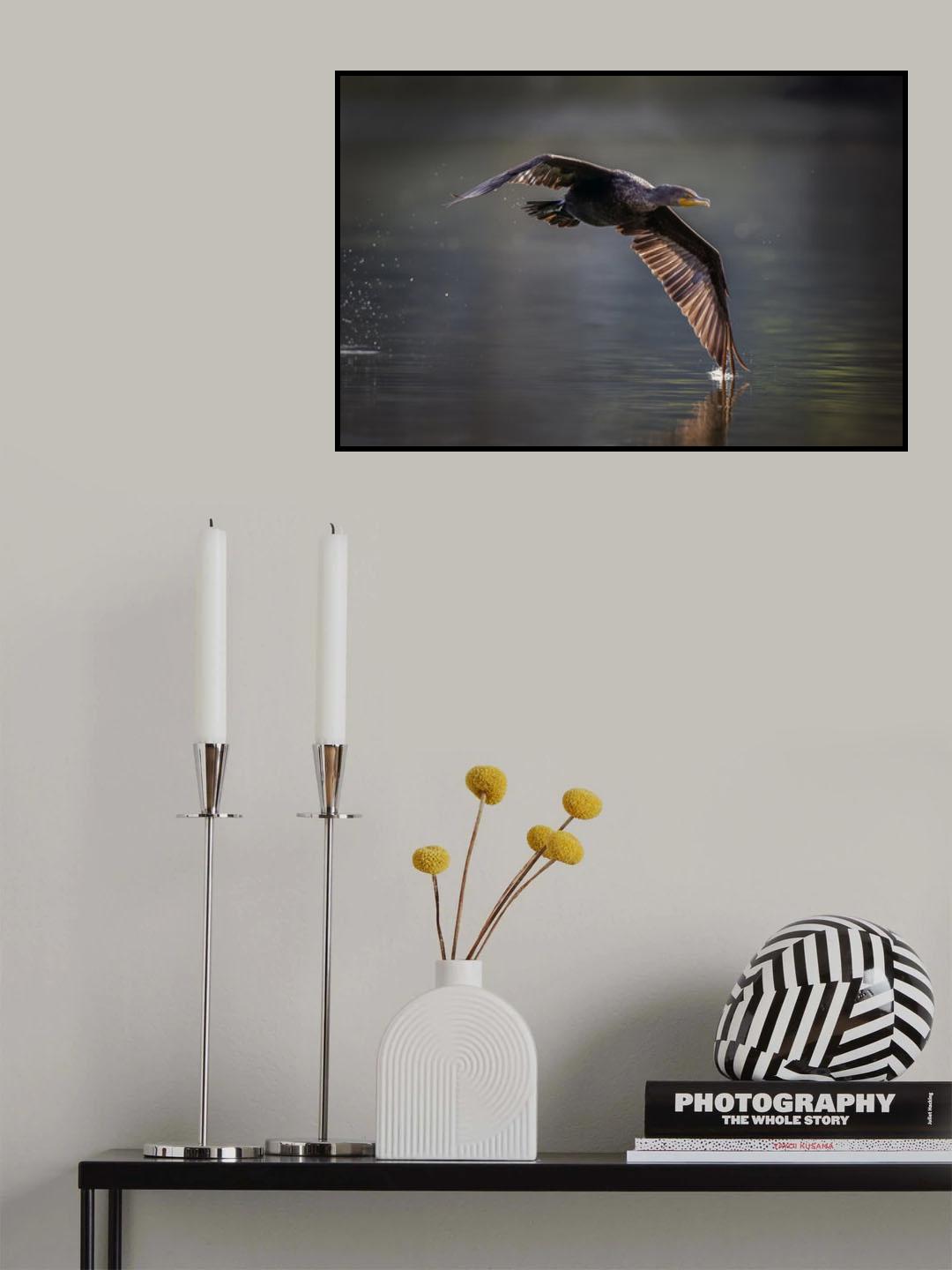 Double-crested Cormorant Poster och Canvastavla