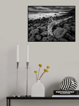 Driftwood Poster och Canvastavla