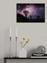 Quiver Tree Forest Poster och Canvastavla