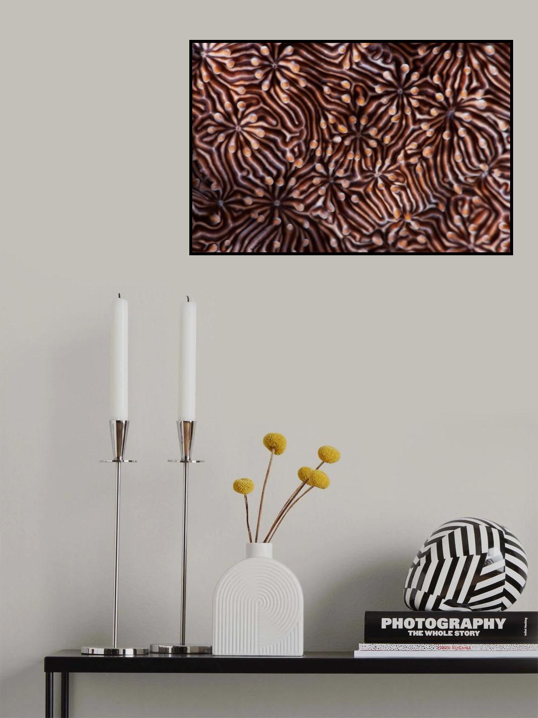 Hypnotic maze Poster och Canvastavla