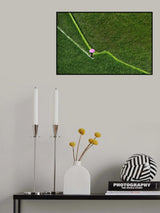 Blind path Poster och Canvastavla
